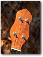 Open Back Banjo :: Click here