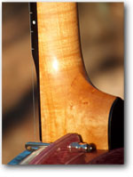 Click to see Open Back Banjos