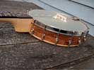 sympathetic banjo by Noel Booth