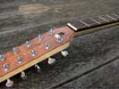 Noel Booth's Sympathetic Banjo
